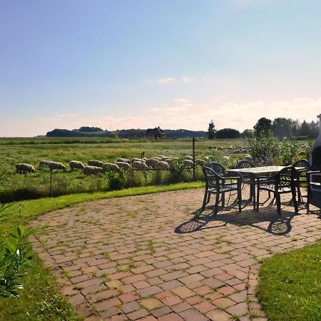 Sonnenkliff-3 By Interhome * Groß Zicker